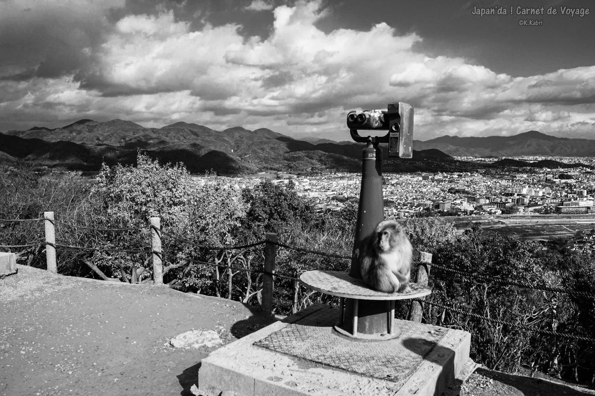 Pour les Japonais, le noir et le blanc sont rarement exprimés dans leurs extrêmes et de nombreuses nuances séparent l’ombre de la lumière. L’ombre est aussi importante que la lumière,car seule l’ombre permet à la lumière de s’exprimer.