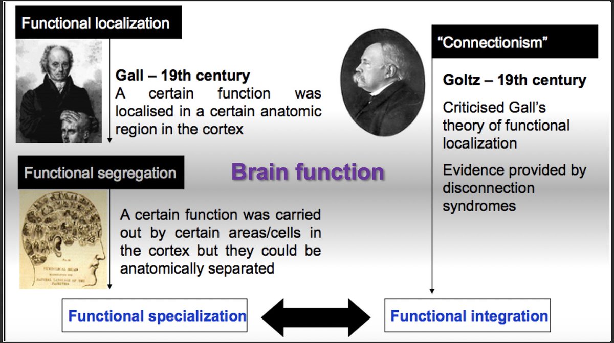 MinutesMri's tweet photo. #fMRI

أساسياتBrain Function 🧠 

والمفاهيم الاساسية الذي يعتمد علية تقنية #functional_MRI https://t.co/bdPvF1Kxuu