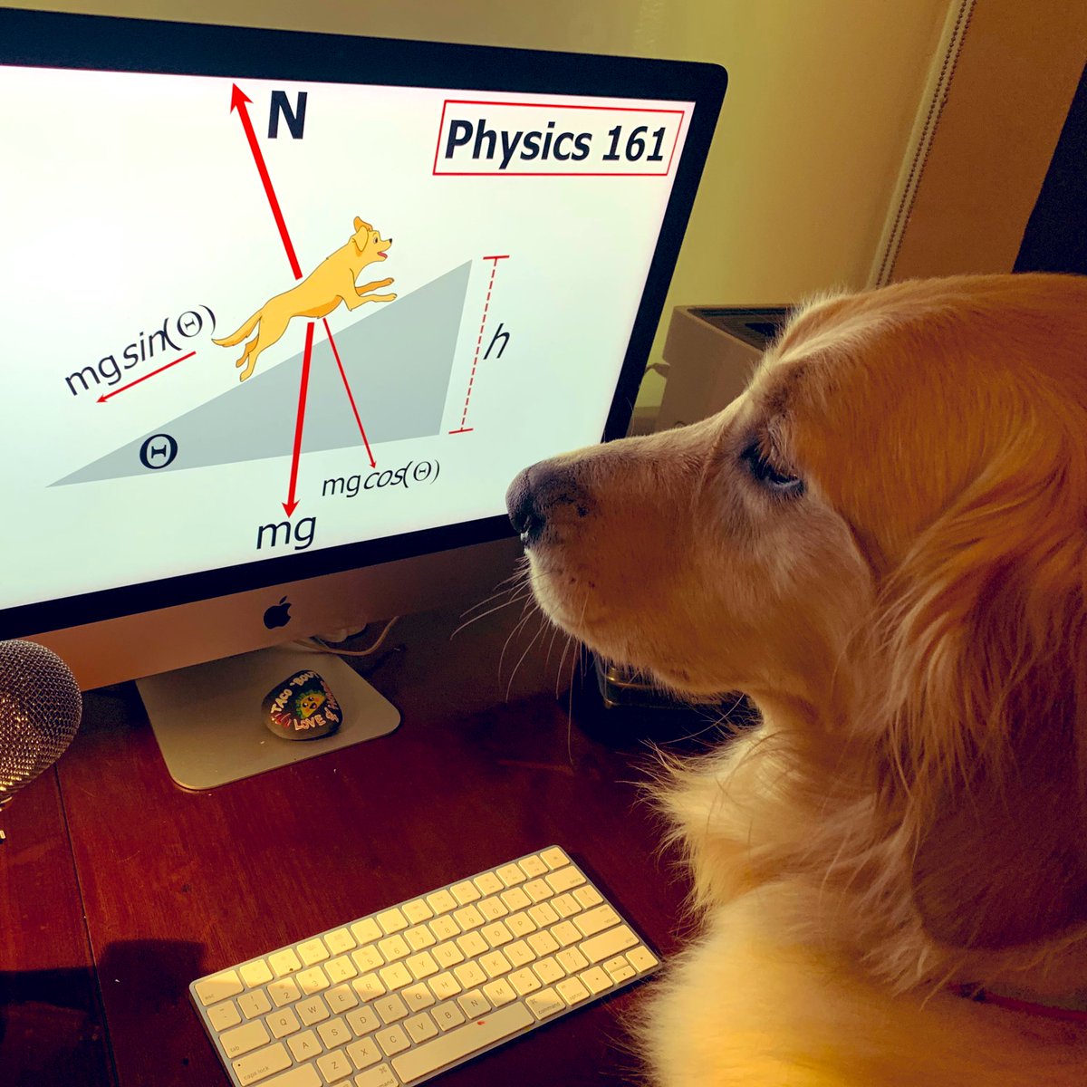 Cramming for my last final this week @MiamiUnivetsity. Almost done!  You’ve got this #MiamiOH students—two more days of finals. Congrats seniors &amp; stay in touch. @PresGreg &amp; I can’t wait to see everyone back on campus!  Until then #LoveandHonor