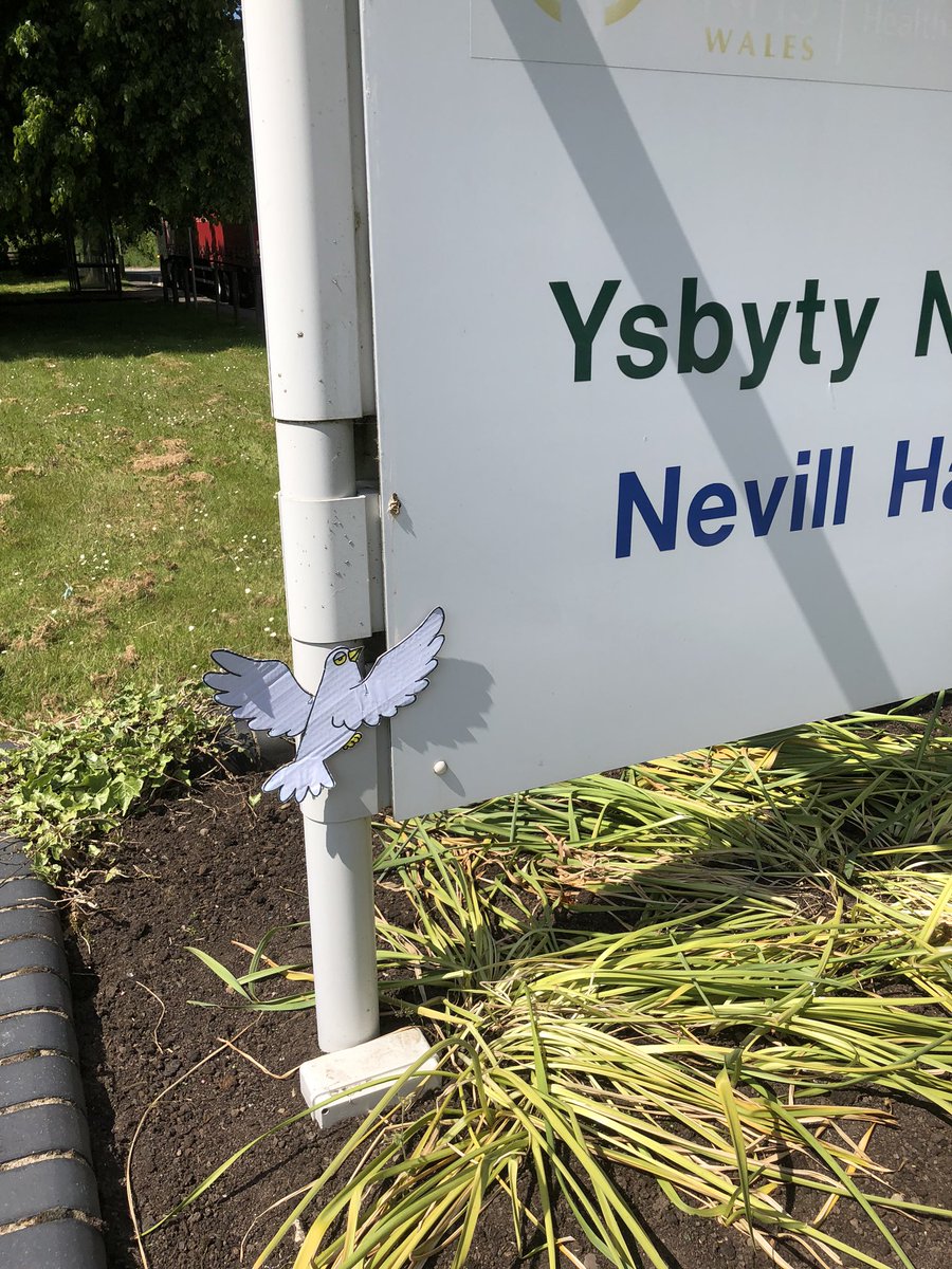 DovesofH's tweet photo. Neville Hall #nhs #doves #hope #dovesofhope #craft #abergavenny #makeit #displayit #isolation https://t.co/EhRuSbd42e