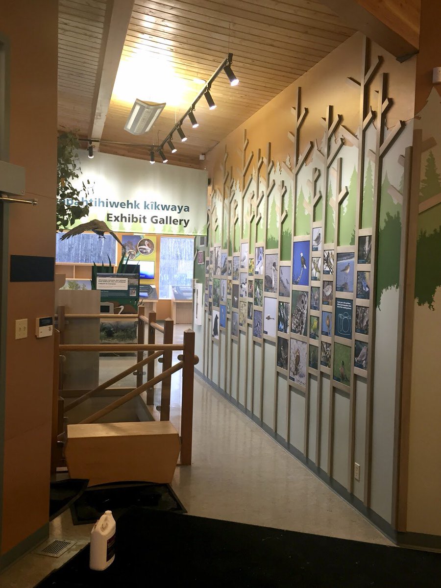 skyline_at's tweet photo. #tbt to the Boreal Centre for Bird Conservation (BCBC) educational and interpretative experience.  #throwbackthursday #exhibits #design #mediaproduction #installation #atlanticcanada #signage https://t.co/vtjir2aedq