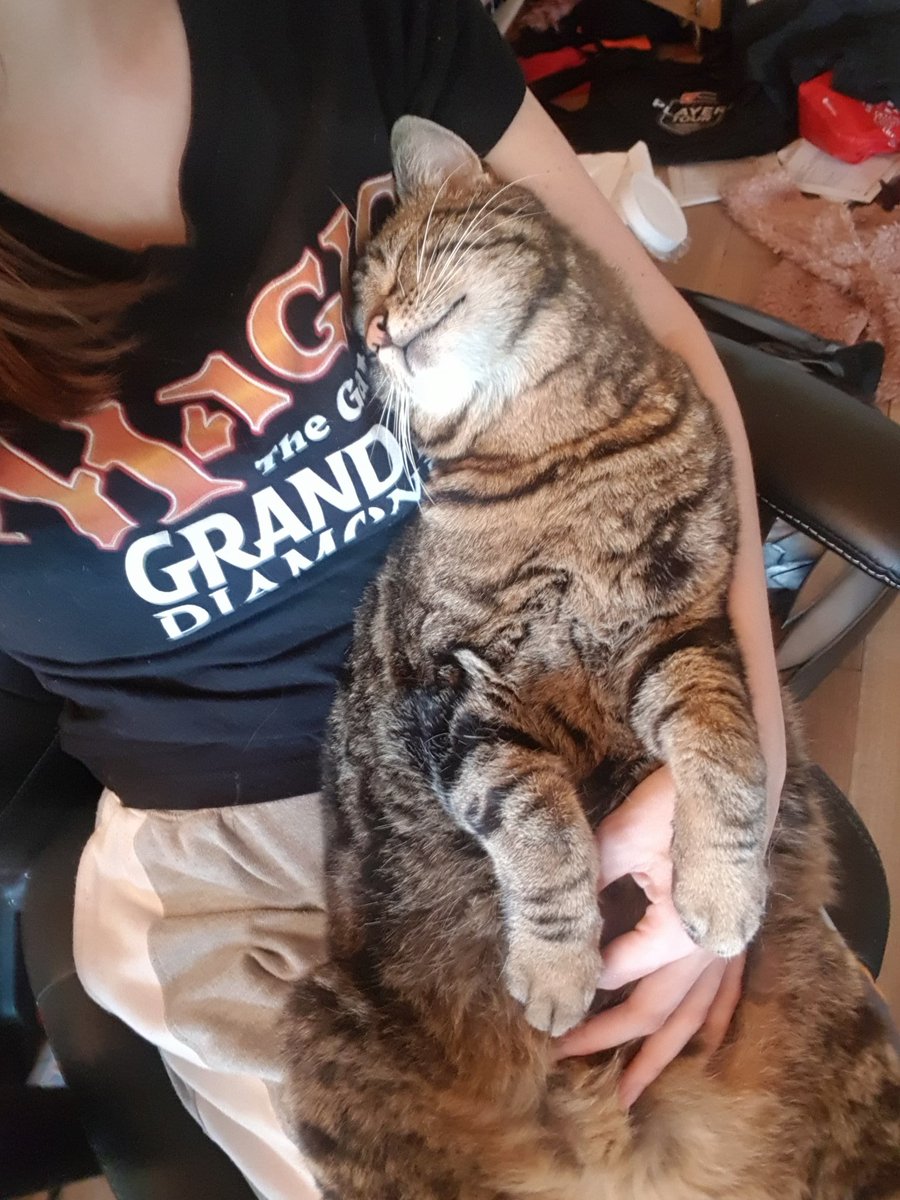 i love my kitty so much