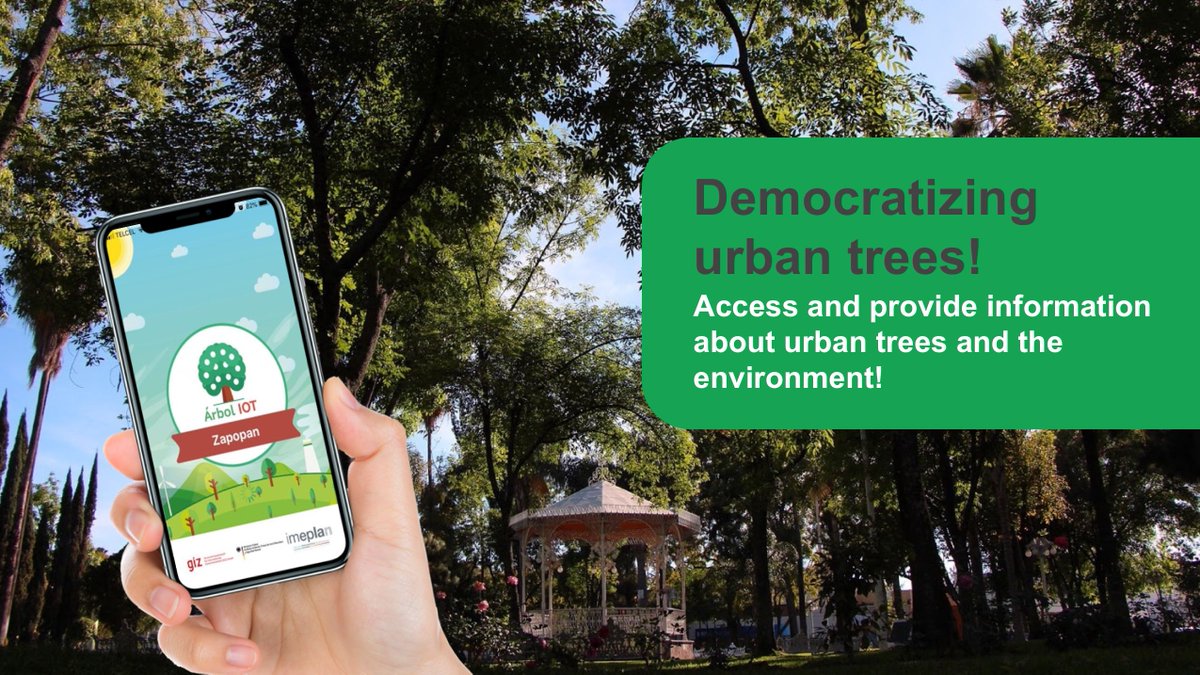 iki_germany's tweet image. Proud of our #IKI project's #digital solution called 'Internet of Trees' 🌳🌲🌴 by @giz_gmbh that took part in the #smartdevelopmenthack! Learn more about the project's idea ➡️ smartdevelopmenthack.hype.de/servlet/hype/I…