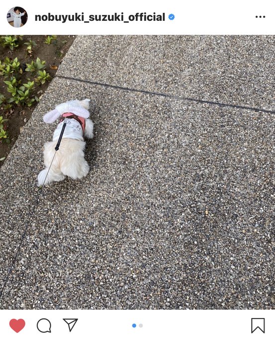 鈴木伸之 の人気がまとめてわかる 評価や評判 感想などを1日ごとに紹介 ついラン