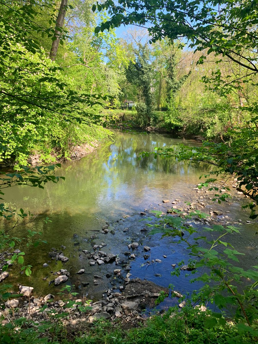 Jlowthrop's tweet image. Still time to join my #Nature talk for @cm_derby tomorrow morning. 

Register here, it’s FREE creativemornings.com/talks/jenny-lo… 

#CMNature #Derby