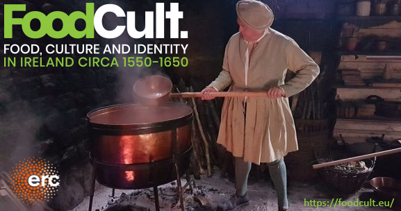 UCD Archaeology, Dublin tweet media