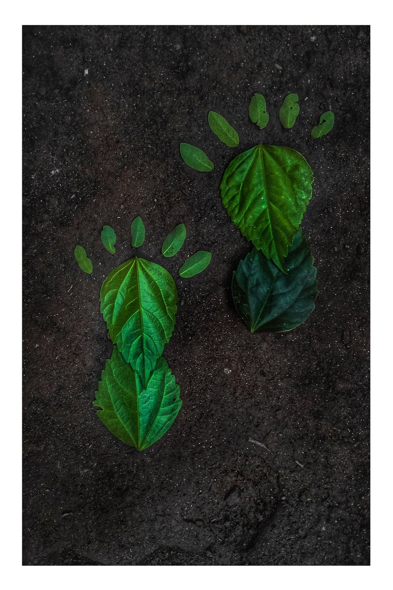 #PhotosForNoah #PhotosForNoah #PhotosOfMyLife #PhotosOfMyLife #photographyeveryday #PhotoMode #PhotoMode #photographyeveryday #Likee #mobilephotography #phonk #KeralaModel #photooftheday #PhotosForNoah #photooftheday