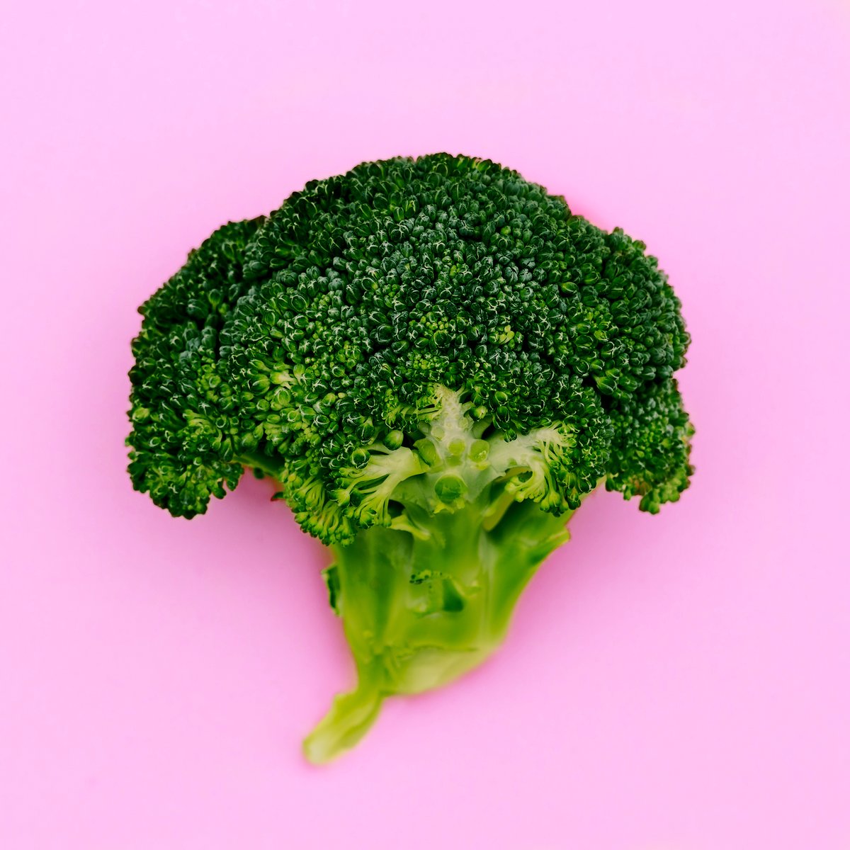 LeadingHumansAu's tweet image. 🧠Having a #PRISMBRAINMAP provides you with brain data to help you make more effective &amp;amp; efficient #behaviourchanges &amp;amp; be &apos;better at being human&apos;. If you&apos;re interested in learning more join our 45 Live event: leadinghumans.com.au/events/#45-liv…

#professionaldevelopment #consciousleadership