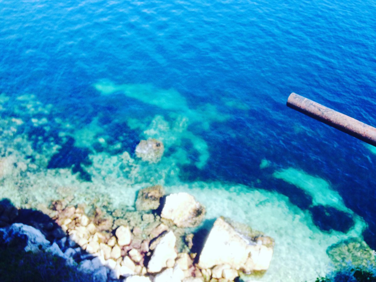 ManelGharsalli's tweet photo. Il ne s’agit pas des #Bahamas mais bien des #îlesdelérins 🌴 
 
Bientôt j’espère 🤞 
#FenetreSurLaCotedAzur 
#visitcôtedazur
#onabesoindusud
#CotedAzurFrance https://t.co/ieoy53GZfT