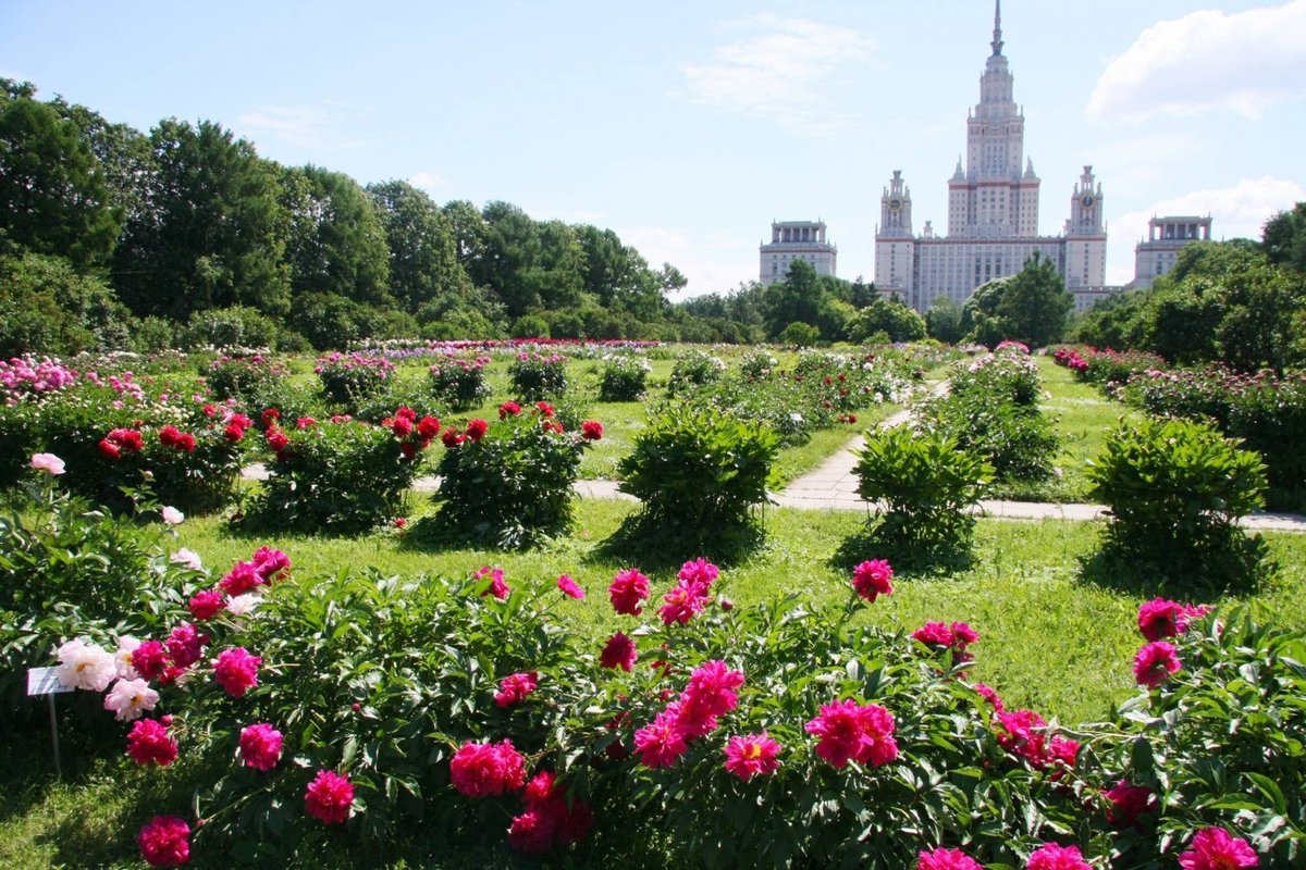 RuslanLevitov's tweet photo. @v947p17 @s987v1 @PetrPetrov_7 Здравствуйте, Владислав! Я тоже считаю, что "Брянская песня" Дмитрия Гавриленко углубляется в майский пейзаж не просто так, а с душой. Отсюда необычное эмоциональное воздействие этих певучих строчек. Поистине они не поют, а "соловьят" (неологизм автора). https://t.co/VrmdsPc83r