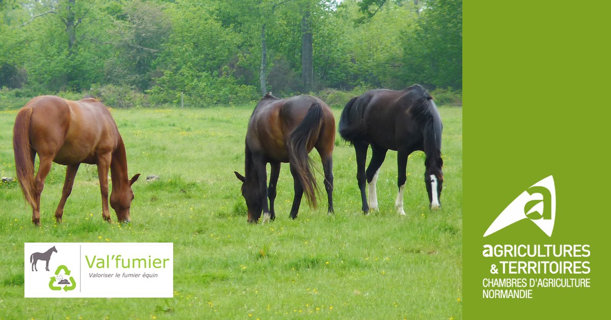 La #méthanisation pour valoriser le fumier de cheval 🐎
👉 Vous êtes porteur de projet d'une unité de méthanisation ?
👉 Le fumier #équin est un intrant qui vous intéresse ?
Contactez-nous : bit.ly/2LxWSJL

#ValFumier