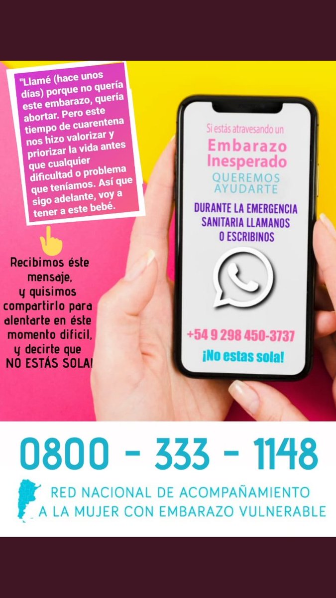 Marisa Musci tweet media