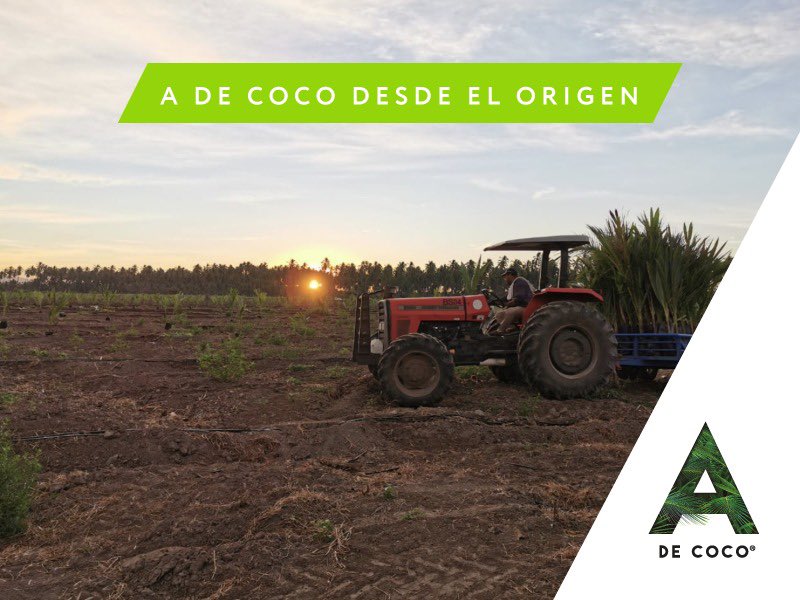 A de Coco tweet media