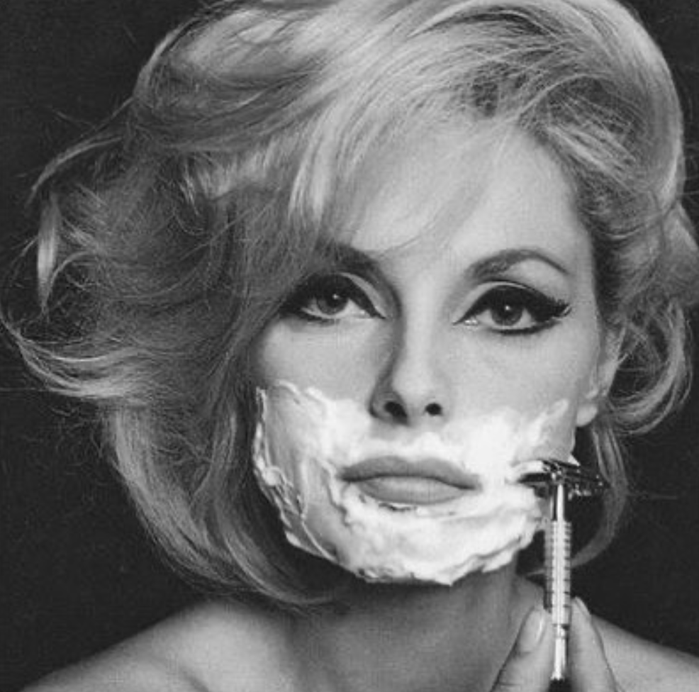 The Guinea Pig Podcast tweet media