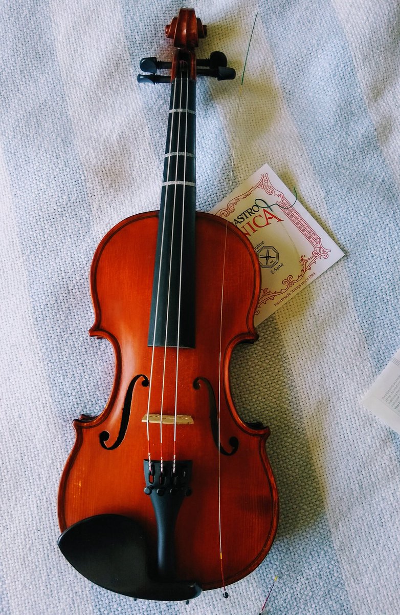 baboolington's tweet photo. A beginner learning how to change the E string at home. Gulp. #benedettisessions https://t.co/n0wFE6z0nv