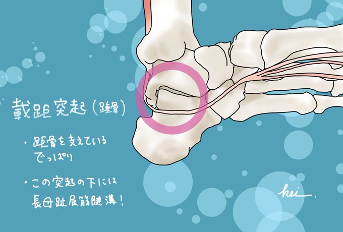 トミーのtwitterイラスト検索結果
