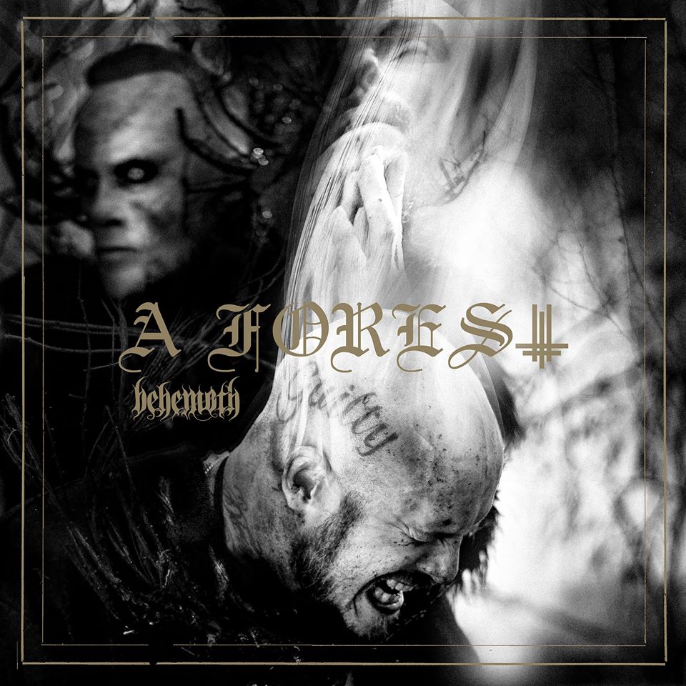 RadioMetal's tweet photo. Les détails du nouvel EP de @BehemothBand A Forest et le clip vidéo de la nouvelle chanson « A Forest (feat. #NiklasKvarforth) » : https://t.co/vdFPZNR6Aa https://t.co/y3wDjBcRdH