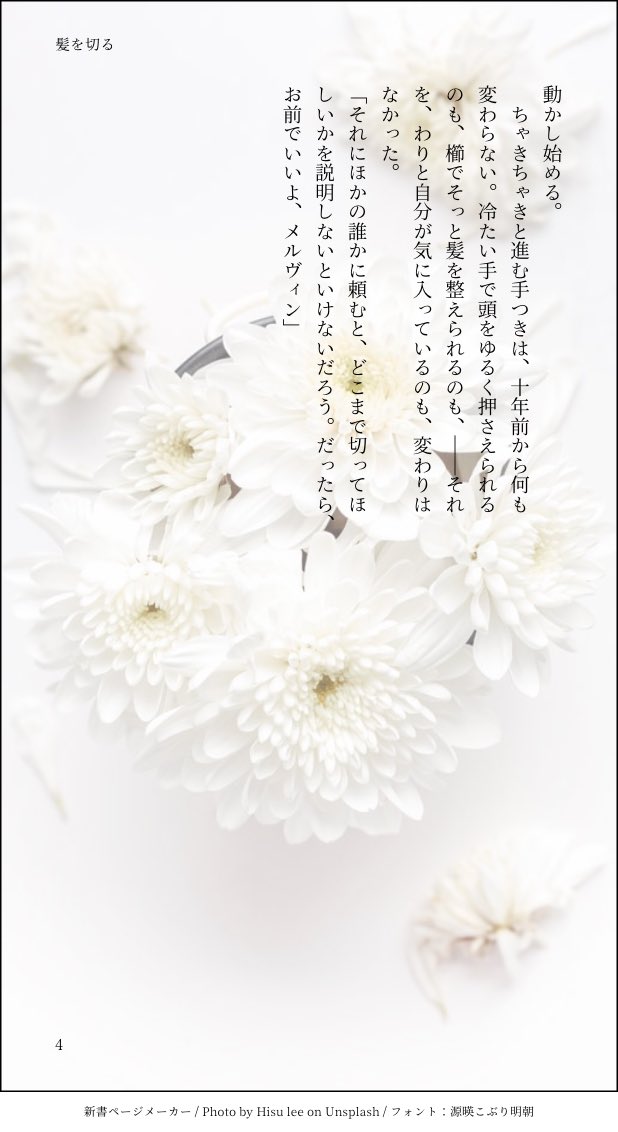 メルII 