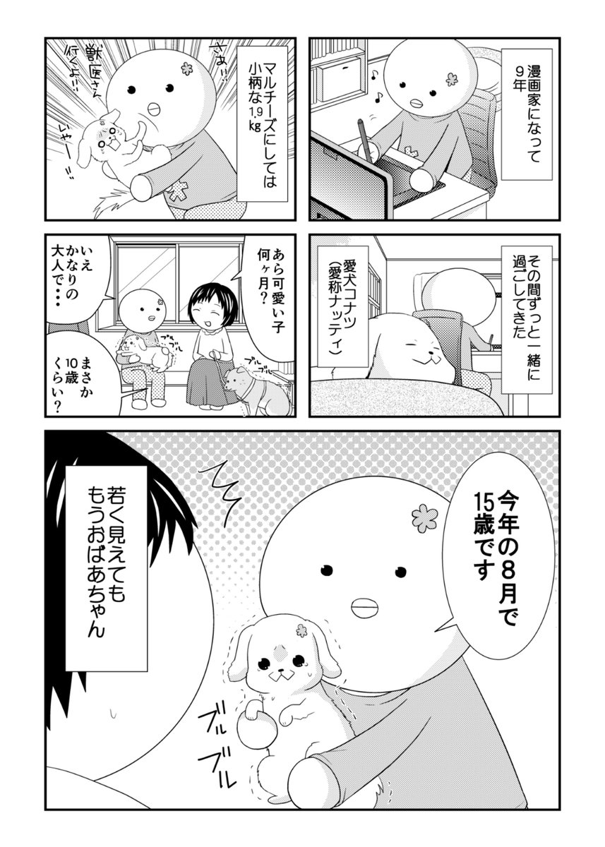 安西理晃 群馬犬1巻発売中 愛犬のマルチーズが手術した時の話 1 2 マンガが読めるハッシュタグ T Co Wszabbgv7b Twitter