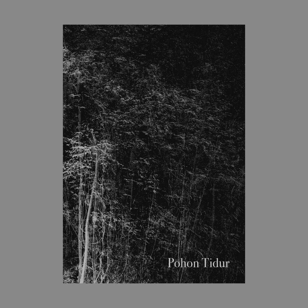 invisibleflock's tweet photo. Pohon Tidur - Our Sleeping Tree Publication is now available online as an Indonesian Edition.
.
We’re delighted to share it with our friends and contacts in Sumatra and beyond. It is on our site in our new Publications section: https://t.co/fBRstVlF8m
.
#ecology #art #forests https://t.co/v7hRnuPZGx