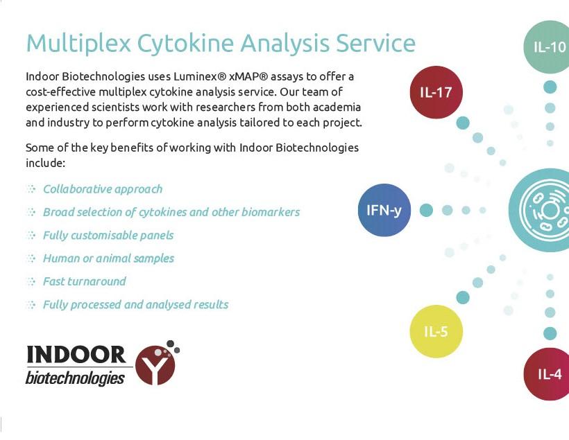 InBio UK tweet media