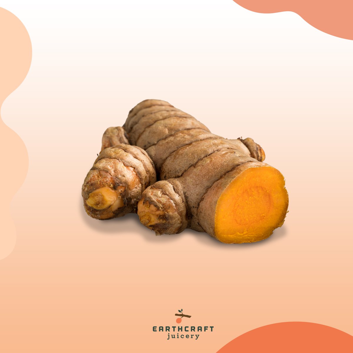 EarthCraftHTX's tweet photo. Turmeric is a great anti-inflammatory and antioxidant. It is believed to regulate cholesterol and is an excellent aid during weight loss. Come try one of our many juices containing turmeric or perhaps a warm Golden Latte. https://t.co/Zp8WdXL5Vi
