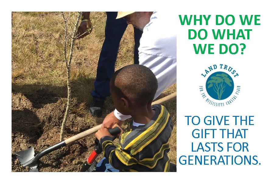 LandTrustMS tweet media