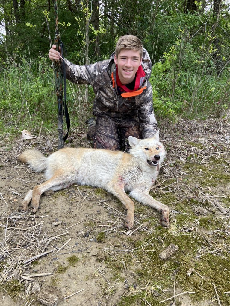 gsteele_22's tweet photo. I got a cool coyote this morning. This will help turkey hunting for next year. https://t.co/QGI9KBZUsI