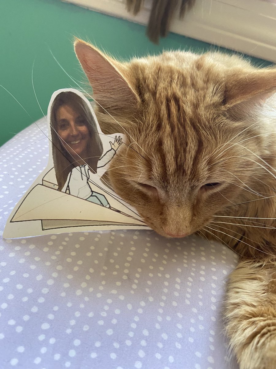 allene_mcgovern's tweet photo. @MrsGardner144 #flatstanley Maeve is having fun with this! https://t.co/C496sjpU52