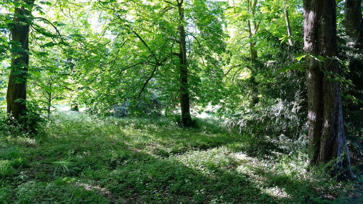 rossmackenzie's tweet photo. Park of the Day. Headington Hill Park. #OX3 #exercisehour #staylocal #greenspaces #getoutside https://t.co/r7yPSgisLl