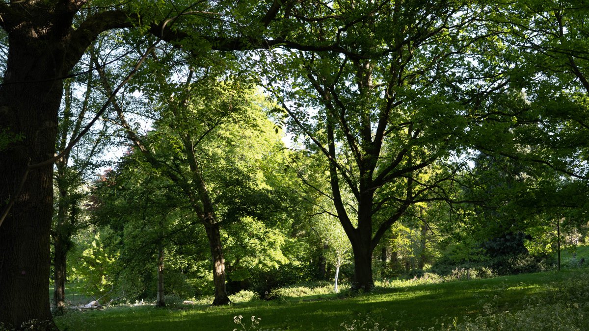 rossmackenzie's tweet photo. Park of the Day. Headington Hill Park. #OX3 #exercisehour #staylocal #greenspaces #getoutside https://t.co/r7yPSgisLl