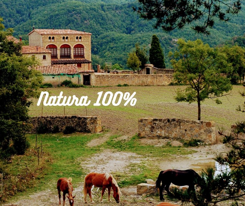 Castells de Lleida tweet media
