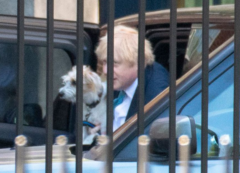 no, we're not behind bars but we ARE pawtners in crime hehe