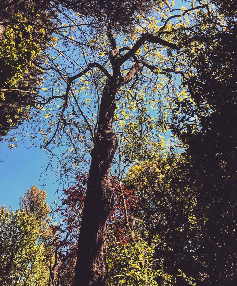 Yorkshire Voucher Codes 💛 tweet media