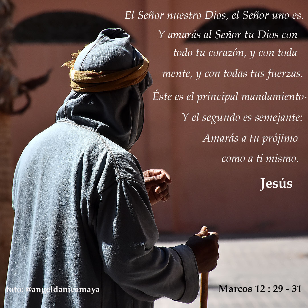 AngelAmayaf's tweet photo. Amarás al Señor tu Dios...y a tu prójimo como a ti mismo. #Jesús #JesusChrist #cuarentena #Ramadan #Ramadan2020 https://t.co/XwJOvijRY0