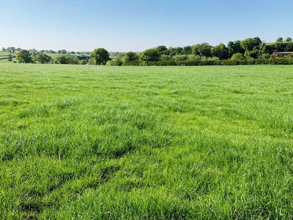 ForFarmersUK's tweet photo. The mild winter has resulted in a large number of #leatherjackets surviving. We advise you to check your #grassleys for any damage.
Young leys are most at risk as disturbed #soil is ideal for crane flies to lay their eggs & the loose soil allows the larvae to move around. https://t.co/pMgEMzTmKC