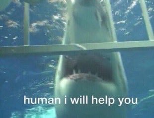 000l666's tweet image. 