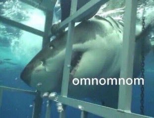 000l666's tweet image. 