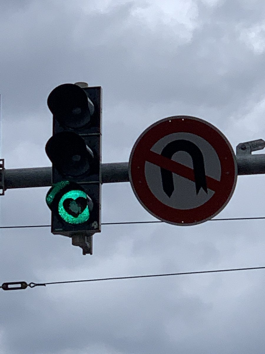 PARTEI_Hannover's tweet photo. Dass unsere Anhänger unglaublich ambitioniert sind, wussten wir ja schon immer. Aber WIE ZUR FICKENDEN HÖLLE ist das Schweinhorn DA an die Ampel gekommen?! https://t.co/6iih7hZeFT