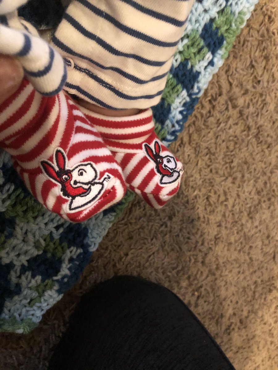 wrightchere's tweet photo. One month old and already reppin my fave. I left Mo the Mule at school before quarantine, can’t wait to get him and bring him home. @UCentralMO https://t.co/r0p2scVzkP