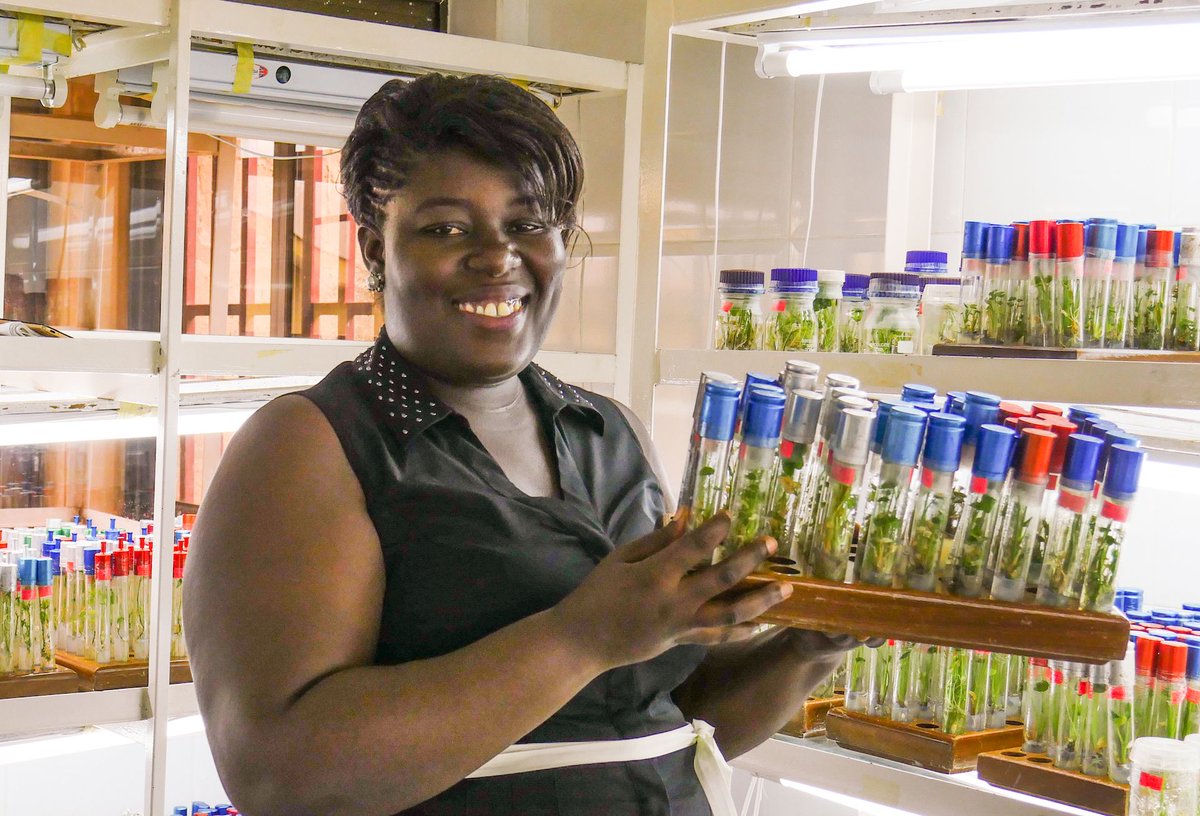 CropTrust's tweet photo. “National #genebanks in sub-Saharan Africa can help drive agricultural development and are integral to the future prosperity of the region,” says Nora Castañeda-Álvarez, Project Manager of #Seeds4Resilience.
https://t.co/GKXV4rEGk2
#CTAR2019 #annualreport #cropconservation #s4r https://t.co/dKY65Axxz3