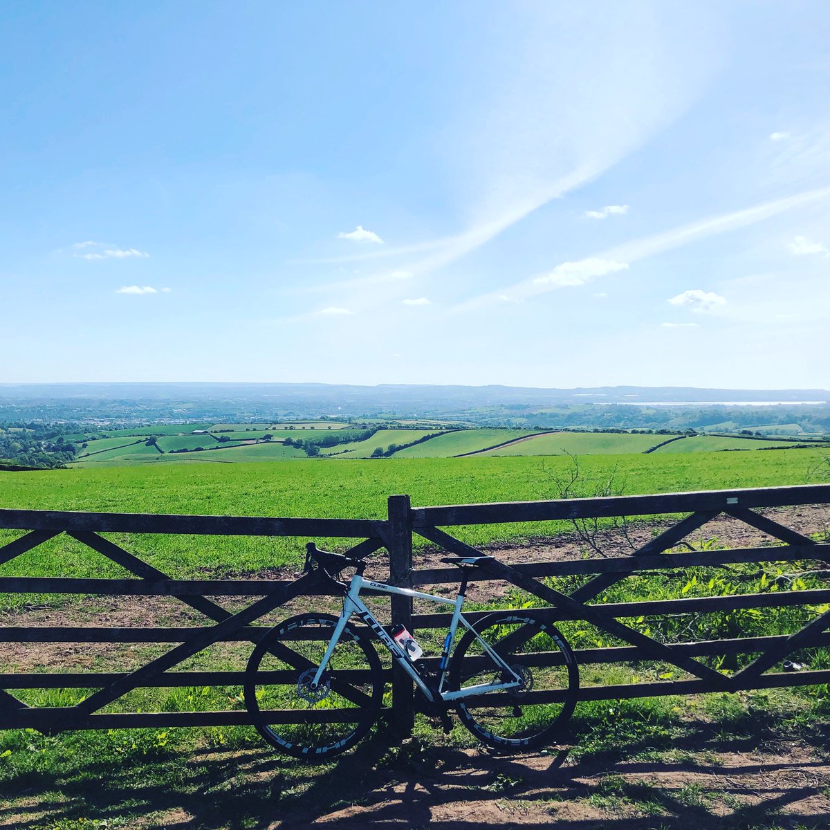 Sam Knight tweet media