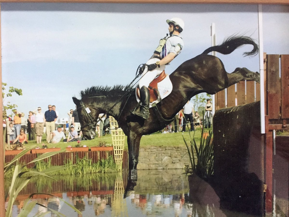 I’m on the lookout for some top quality potential EVENT horses- 3/4/5yos, 16.1hh+, the usual quality movement, jump and model... Contact myself on 07779248613 if you have or know of something, thanks...