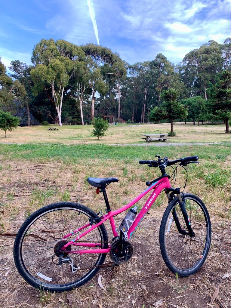 biketoeverythng's tweet photo. Another bicycle with all its components secured. The wheels and bike seat are locked for only $20! It's the Sunlite 3-pack that I link to on my post about keeping your bike wheels safe. https://t.co/VdO5Cj9agl #lockingwheels #lockingskewers #lockingbikeseat #bikeseatlock https://t.co/S1qmDZdG72