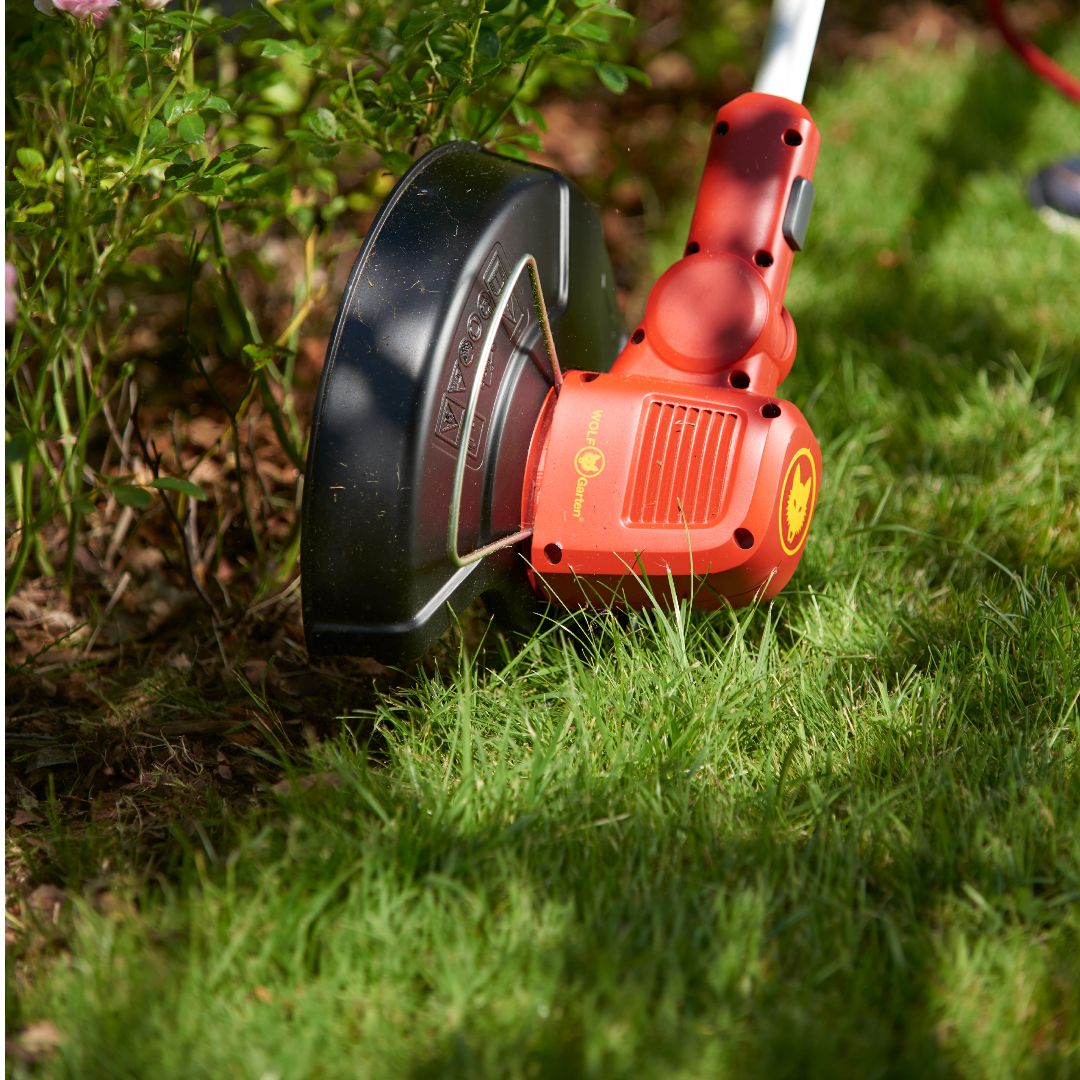 WOLFGartenIt's tweet photo. I tagliabordi elettrici e a batteria WOLF-Garten sono indispensabili per rifinire al meglio il tuo prato!

Scopri la gamma su https://t.co/M9LuGTDTa4.

#wolfgarten #tagliabordi #rifinitore #giardinaggio #giardinaggioprofessionale #giardinaggioecologico #giardiniere https://t.co/okKZFfeVAq