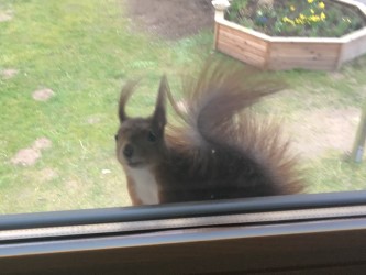 Schleistrand's tweet photo. Besuch im Obergeschoss!
Tja, wer würde nicht gerne mal im Schwanenhof wohnen ;-) https://t.co/Fpyx8vOB16