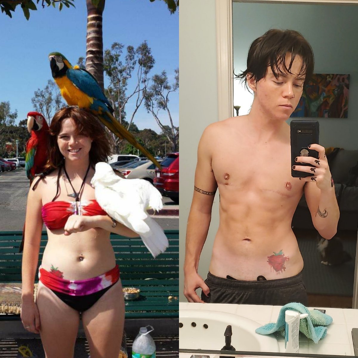 WesSpaulding's tweet photo. #transformationTuesday 
.
.
.
In love with the skin I'm in! @wes__spaulding 

#glowup #selfie #transformation #ftm #transmasc #transman #transmale #tattoos #abs #transandinked #Testosterone #Puberty #Hormones 
#TransTrustedConsulting #TransTrusted #Guidance #SupportServices https://t.co/VPZxSvyRdC