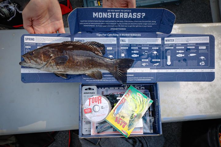 The red-eyed fighters are starting to heat up in the Midwest! 🔥

Fun fact: The coloration of a smallmouth can tell you about its mood, stress levels, social status, or aggressiveness 🆚 boldness.
#TheBetterBox
#MONSTERBASS
📸 <a href="/AbbyHeistad/">Abby Heistad</a>