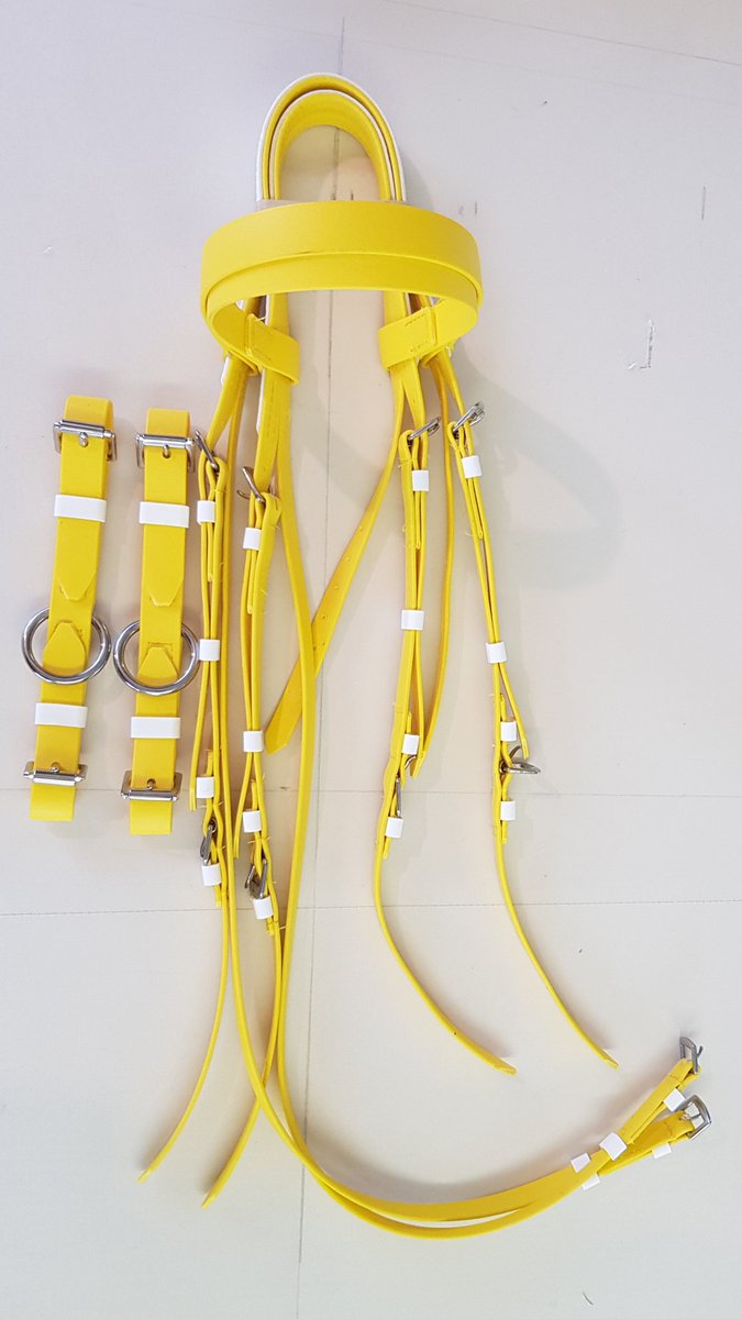 talkintack's tweet photo. Another 2 coloured head stalls for #TeamHaggas for their Horse walker. 
Brightens up the day! #MadeToOrder https://t.co/ryiAcqNQlp