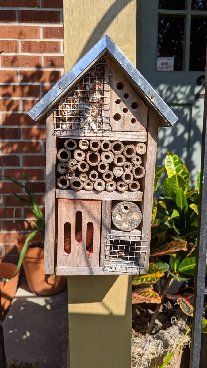 Eric Tobin 🏳️‍🌈 tweet media